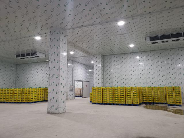 冷庫在冷鏈物流中的核心作用 冷藏倉儲的基石